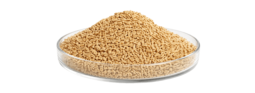 HK - WALNUT – ALL GRADES